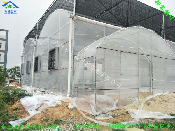连栋薄膜温室